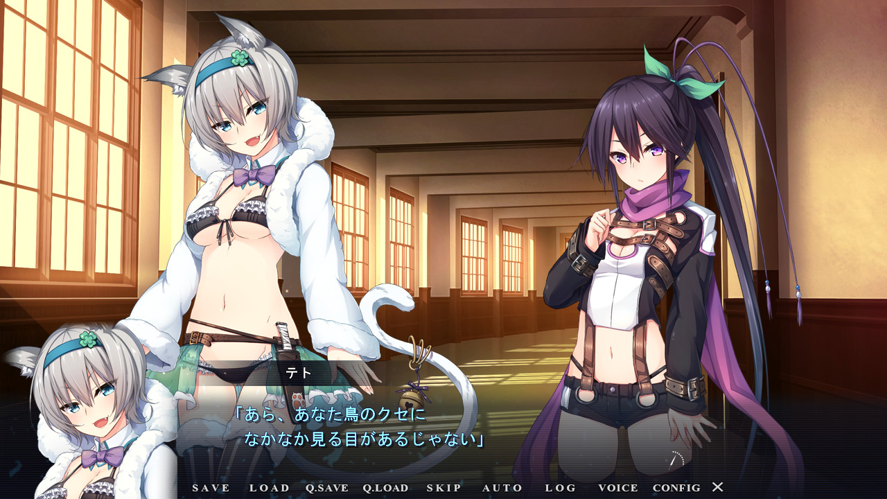 eroge game with spaceships